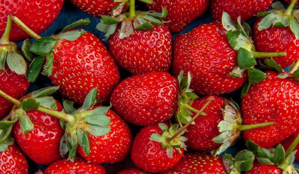 Snacks inteligentes: opciones rápidas y nutritivas para el día a día 🥑🥜🍓 snacks inteligentes